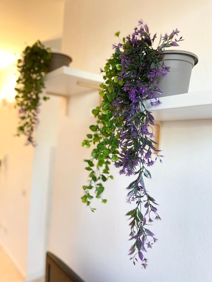 Casa Paradiso: Un'Oasi Di Relax チニゼッロ・バルサモ エクステリア 写真